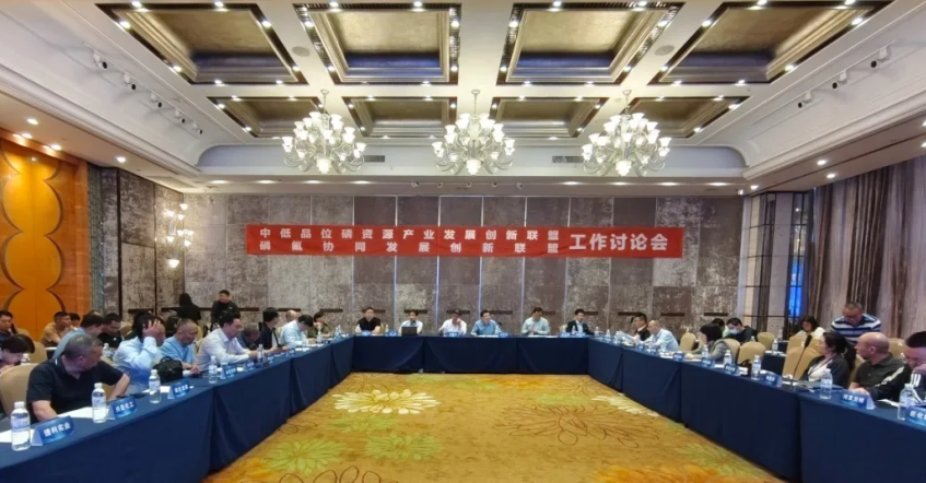 中低品位磷资源产业发展创新联盟、磷氟协同发展创新联盟工作讨论会