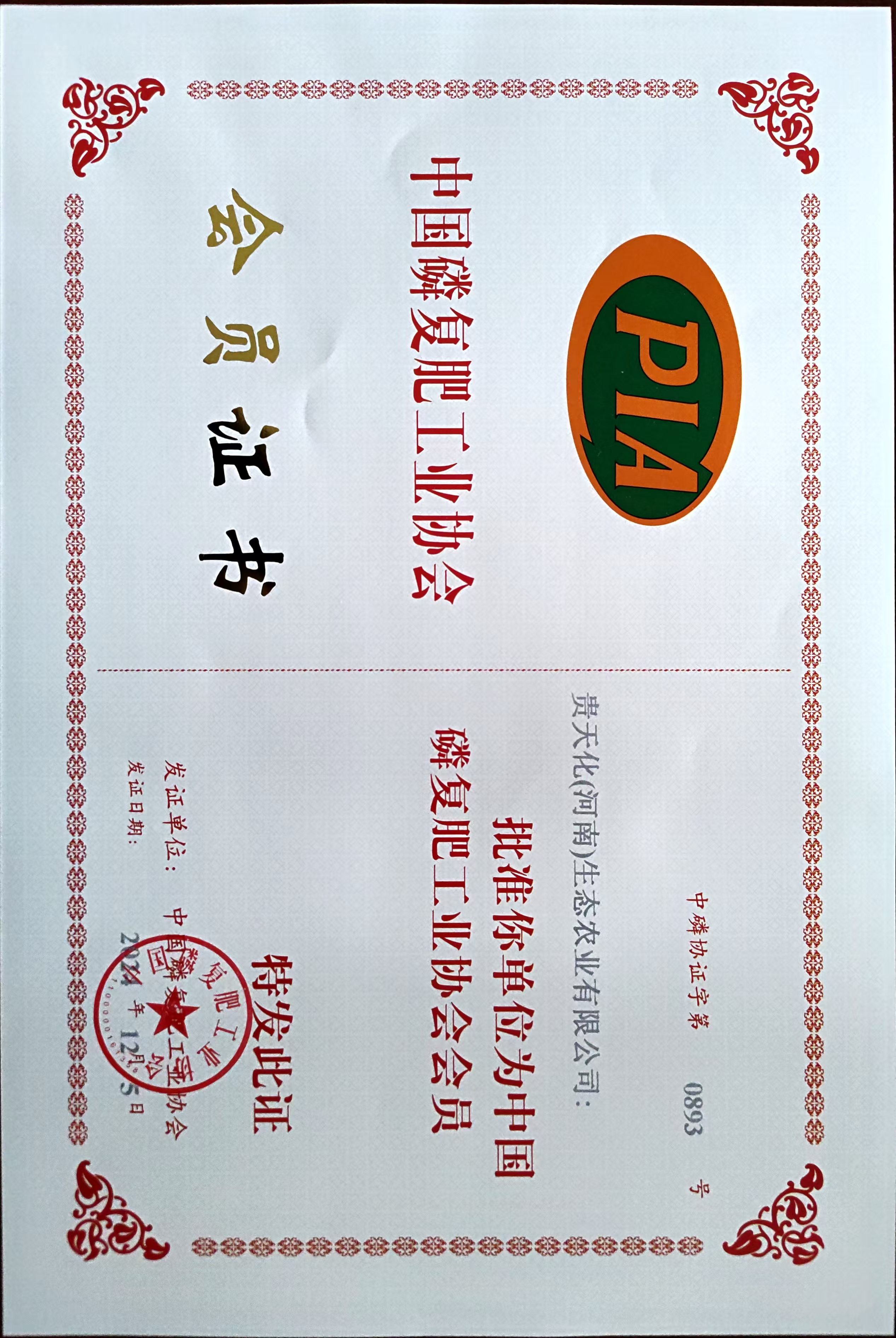 1735868862435384.jpg