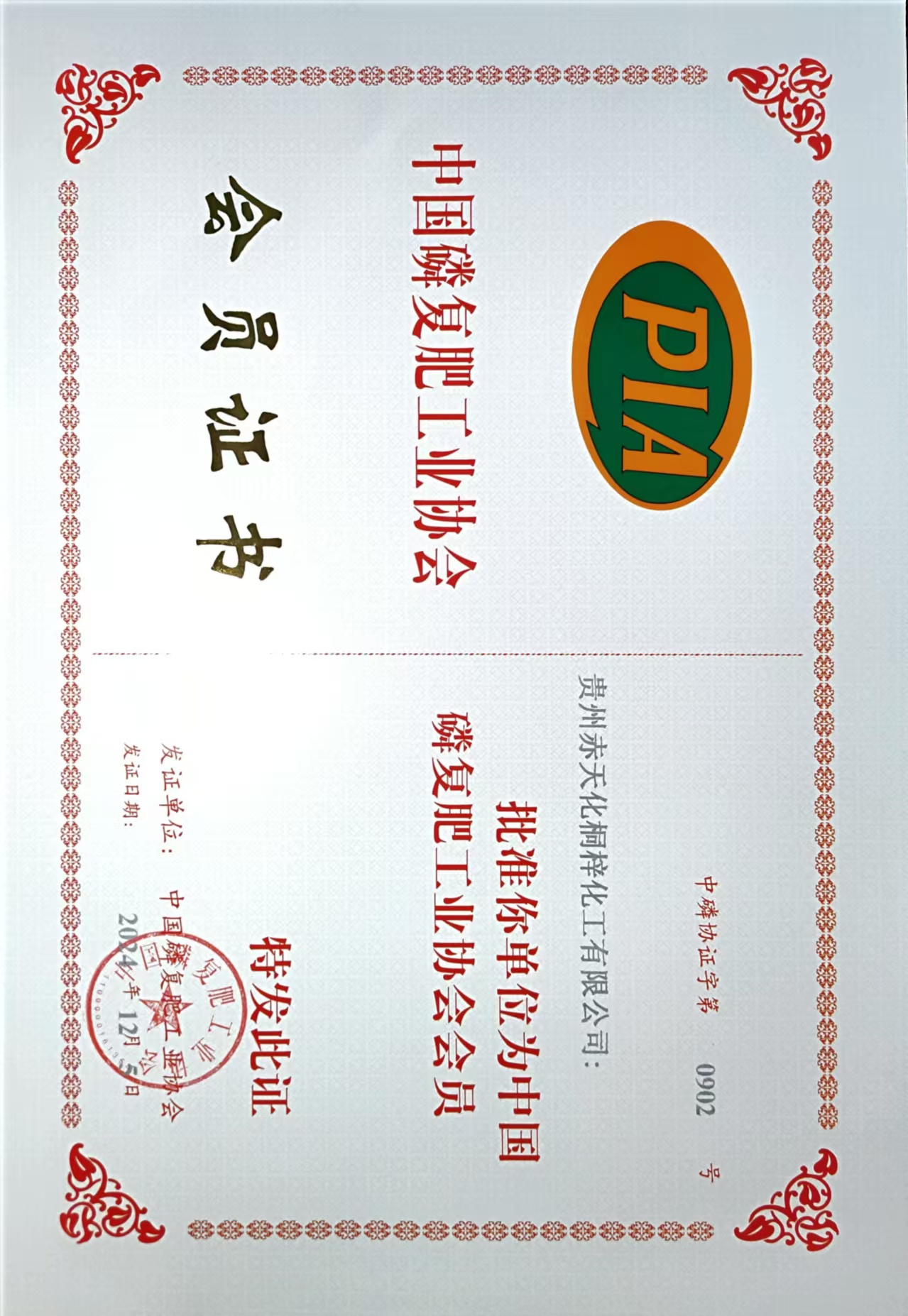 1735869491347454.jpg